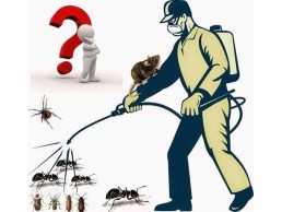 شركة  مكافحة رش حشرات الكويت 98950154  لماذا نحن أفضل شركة مكافحة حشرات الكويت؟