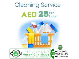 Green City Maid Cleaning Service