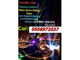  Family visa Tenancy contract All UAE pro service 