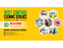 Pest Control Service in Doha