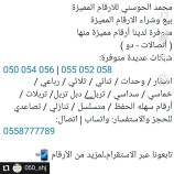 محمد الحوسني ارقام مميزة