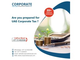  خدمات محاسبية وضريبية لضريبة الدخل في الإمارات العربية المتحدة