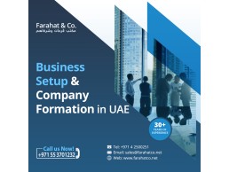 خدمات استشارية في تأسيس الشركات في دبي - أبوظبي - الشارقة - الإمارات العربية المتحدة