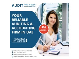 Top Audit Firm in Dubai, UAE - Top Auditing & Accounting Firm - Professional Auditors