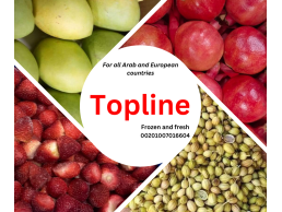  Topline export Egyptian fruits, vegetables and herbs to all Arab and European counrtry 