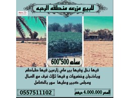  للبيع مزرعه في إمارة ابوظبي منطقه الرحبه  