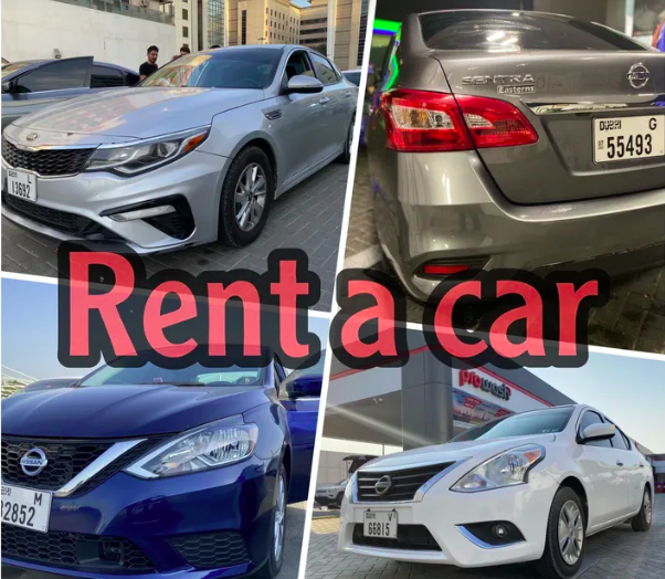 تاجير سيارات rent a car