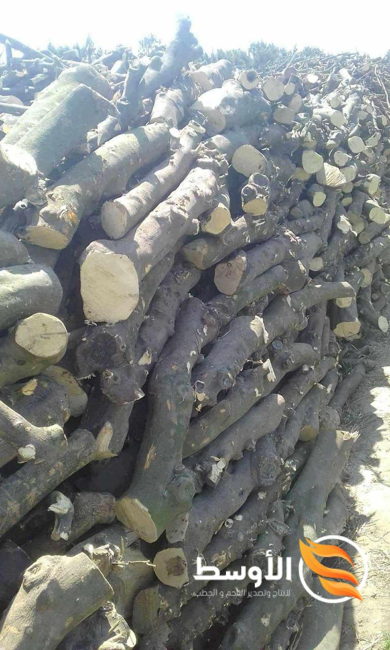حطب البرتقال للمشاوي    (Orange Wood For Bbq) يتم تقطيع  خشب اشجار البرتقال الى مقاسات مختلفة  حسب ا