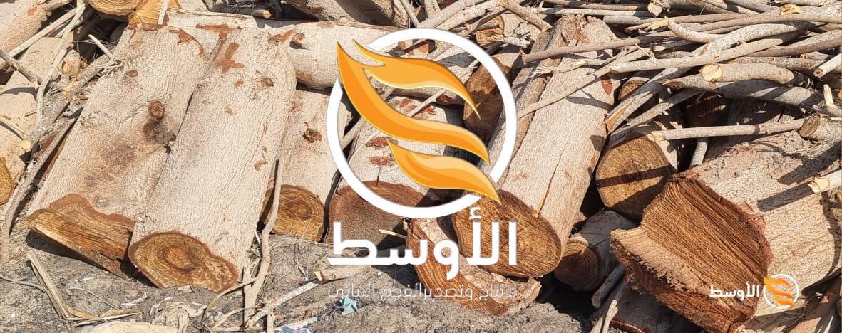 حطب الجازورينا للمشاوي والتدفئة , خشب اشجار طبيعي للتصدير , خشب للتصدير حطب الجزورين للمشاوي    