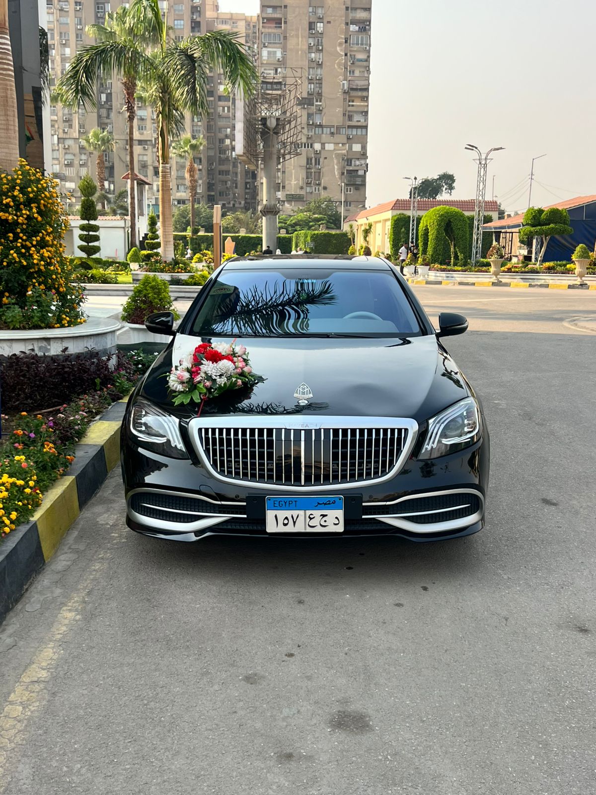 Rent a VIP Mercedes-Maybach for unparalleled Egypt Tourism Adventures.