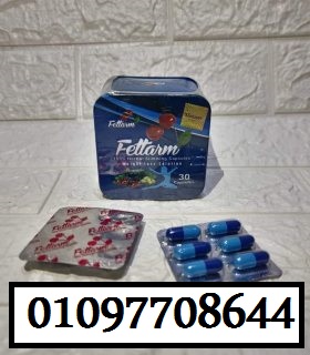 ELNOUR GROUP