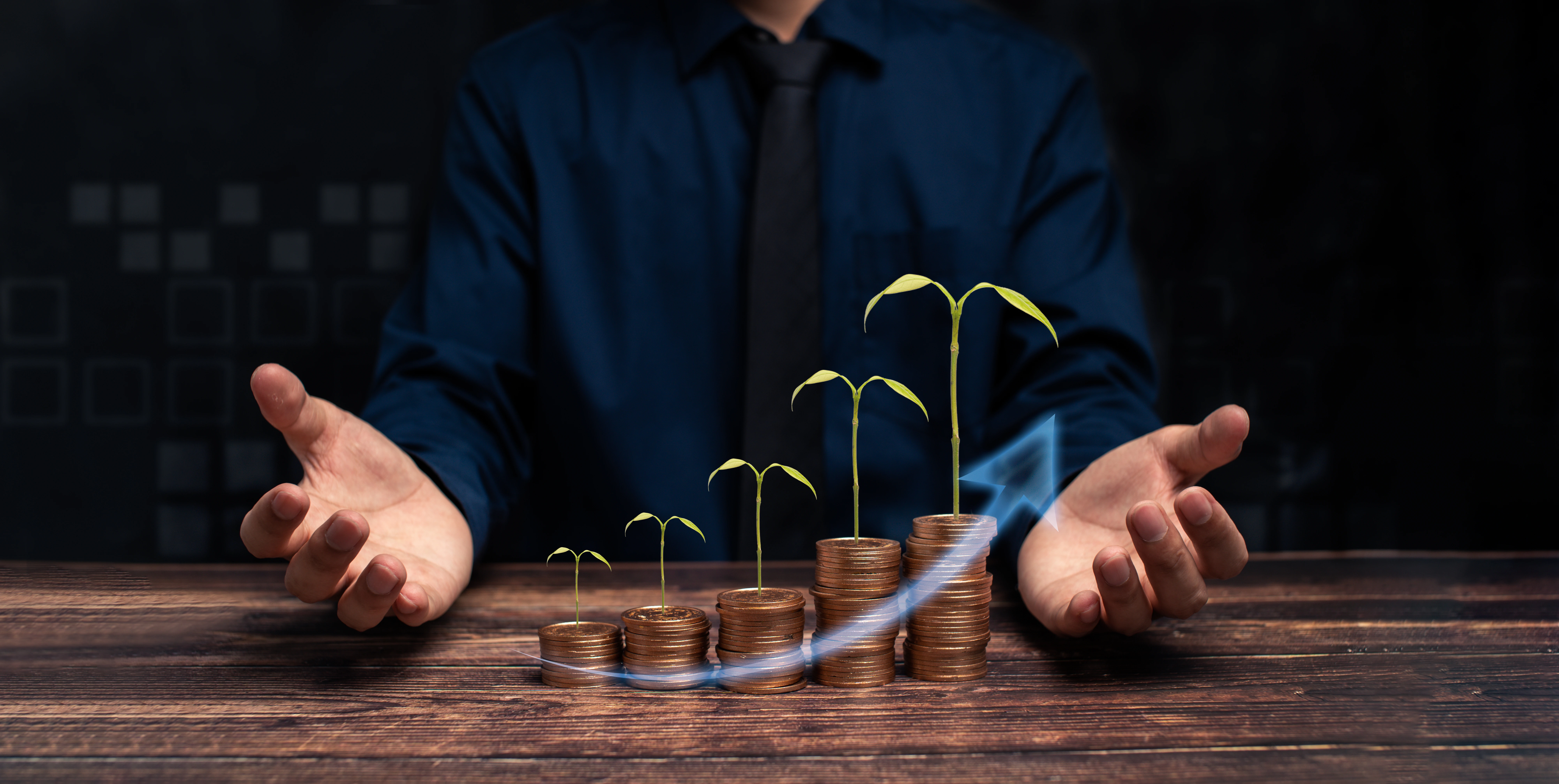 دراسة جدوى مشروع صناعة اللحف القطنية: استثمار مربح في سوق واعد مع تمهيد النجاح أفضل شركة دراسة جدوى