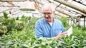SENIOR INSPECTOR – AGRICULTURE SENIOR INSPECTOR – AGRICULTURE
