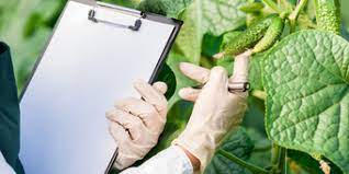SR. INSPECTOR – AGRICULTURE SR. INSPECTOR – AGRICULTURE