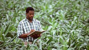 Agriculture Engineer Agriculture Engineer