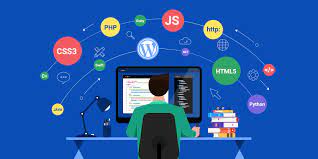 WordPress Developer WordPress Developer