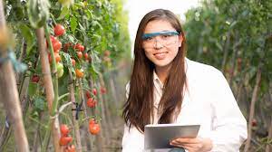 Agriculture Engineer Agriculture Engineer