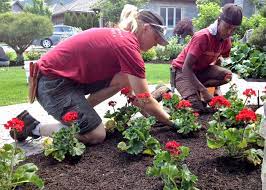 Landscape Maintenance Engineer Landscape Maintenance Engineer